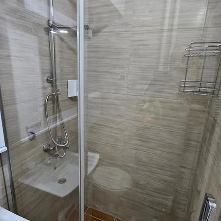 Apartment Pavlovic 2